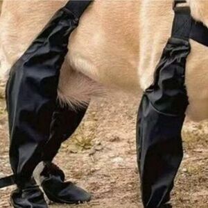 Dog Winter Coat with Leggings